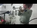 Download Lagu MARIACHI TRUMPET STYLE!