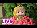 LIVE STREAM Masha and the Bear Chaos Is Not Enough