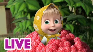 🔴 LIVE STREAM 🎬 Masha and the Bear 🌀🤯 Chaos Is Not Enough! 🌪️🔥