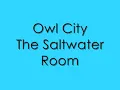 owl city - the saltwater room lyrics
