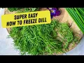 How to Freeze Dill for MAX Flavour