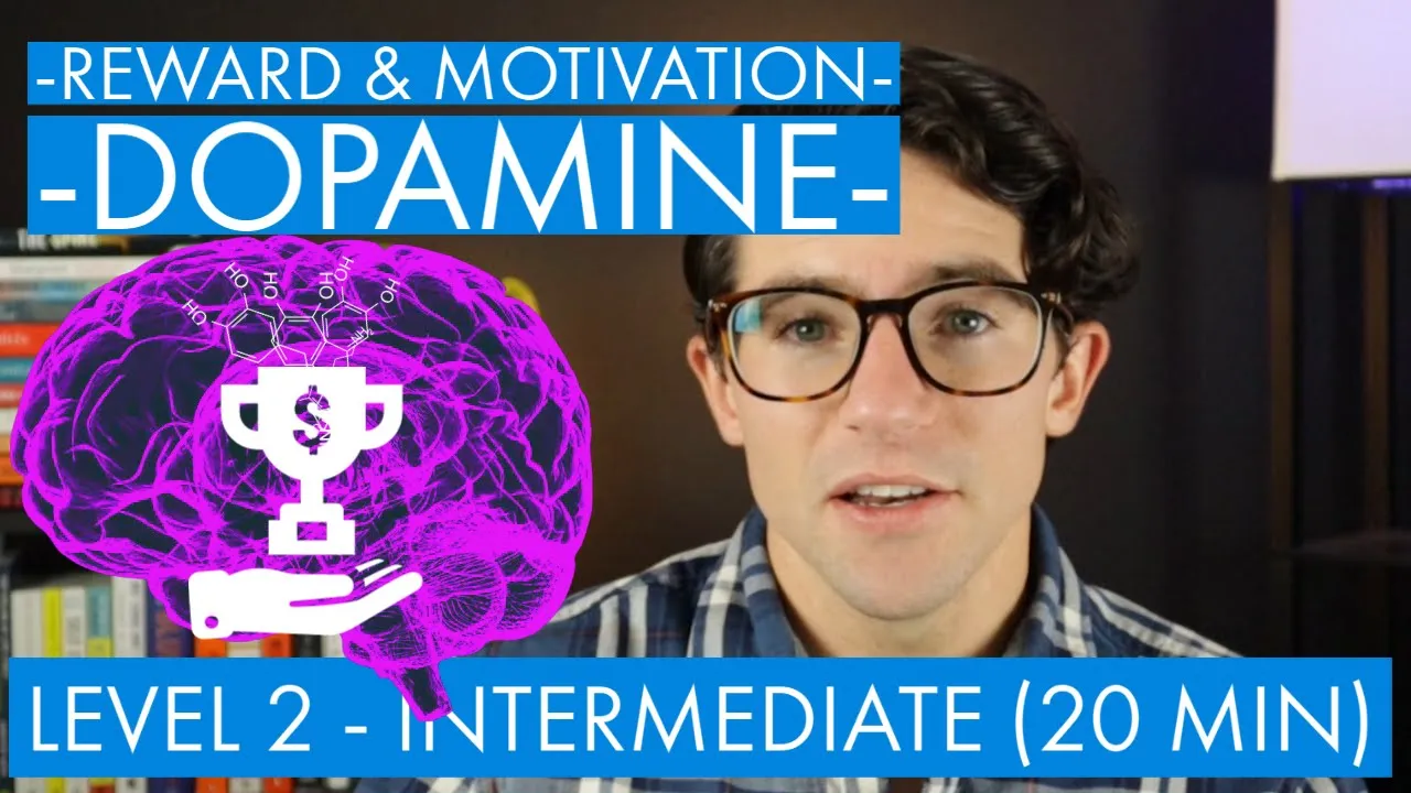 Dopamine, Motivation, and Reward (prediction error signaling) - Level 2 (Intermediate)