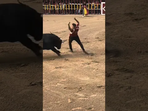 😱🐂 ¡RECORTE PEGADÍSIMO! No había margen