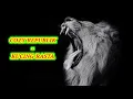 Download Lagu COZY REPUBLIK - KUCING RASTA