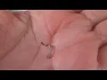 why does my nose piercing keep falling out
