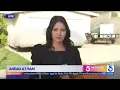 Bear wanders into KTLA reporter s live shot while covering violent encounter