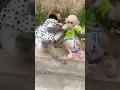 Download Lagu struggled over the milk bottle then fell down #trending #adorable #cute #monkey #funny #animals