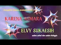 Download Lagu karena asmara - ELVY SUKAESIH
