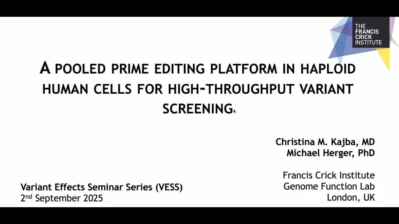 A pooled prime editing platform in haploid human cells for high-throughput variant screening