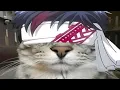Download Lagu Kings \u0026 Queens Speed up reverb