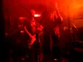 Lit up - The Mudsharks