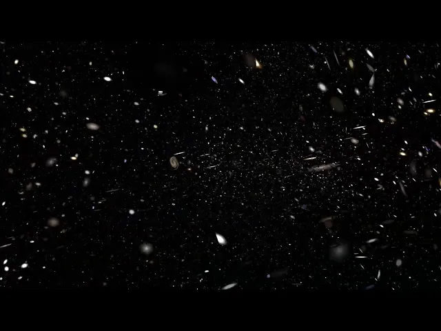 Multiverse