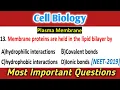 Plasma Membrane Mcqs - cell mcq questions