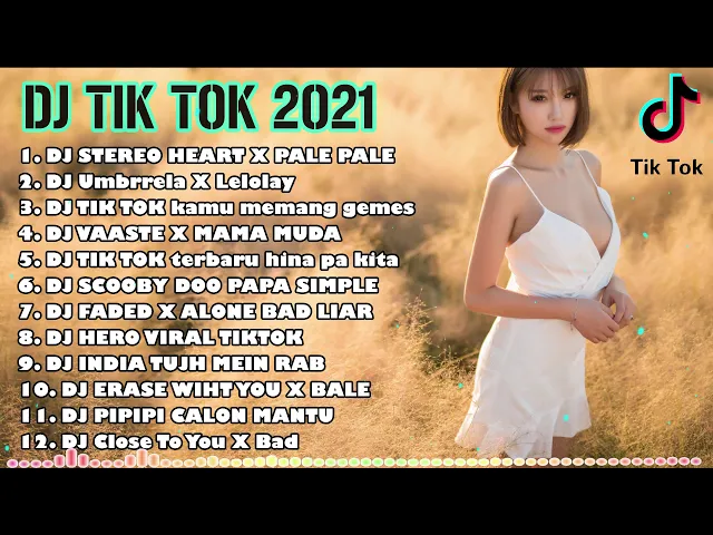 Download MP3 Dj Tik Tok Terbaru 2021 DJ STEREO HEART X PALE PALE Full Album Remix 2021 Full Bass Viral