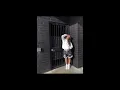 Otras 24 Horas - Eslabon Armado ( slowed & reverb )