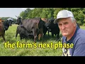 Download Lagu We zijn druk bezig geweest! De opruiming gaat door en we gaan een nieuwe fase in op de boerderij.
