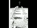 Freddie Gibbs & Madlib Feat. BJ The Chicago Kid - Shame (H20$$$SPORTS$$$ Remix) Tik-tok version