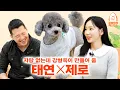 Download Lagu Taeyeon's best friend Zero turns out to be a pilates genius [Kang Hyungwook's Dog Guest Show] EP.22