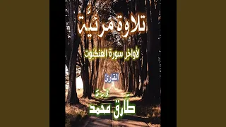 طارق محمد سورة الع نك ب وت 