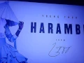 Young Thug - Harambe (Audio)