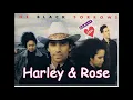 Download Lagu The Black Sorrows - Harley And Rose With Lyrics