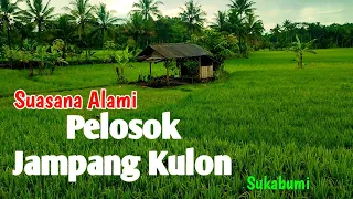 Download Suasana Alam Perkampungan Jampang Kulon📍Keindahan Alam Pelosok Desa Sukabumi🔴Suasana alam jawabarat MP3