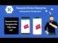 Xamarin forms Navigation Bar Title View 26