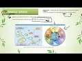 IB Biology A4 1 Evolution and speciation - AHL