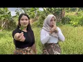 Download Lagu WOOW...BIKIN BAPER🤩‼️GADIS DAN JANDA DESA CANTIK MASIH SINGLE MENUNGGU YANG SERIUS UNTUK MELAMAR