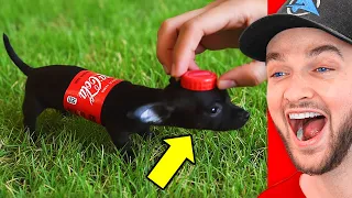 World S FUNNIEST YouTube Shorts 