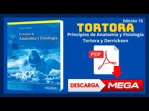Download MP3 Principios de Anatomía y Fisiología Tortora Edición 15 ✅Descargar PDF GRATIS✅