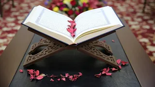     سورة الجمعة   مشاري العفاسي   بدون إعلانات دندنها