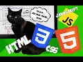 HTML CSS and JavaScript with cat