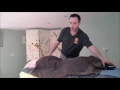 Advanced Massage Bodywork Demo