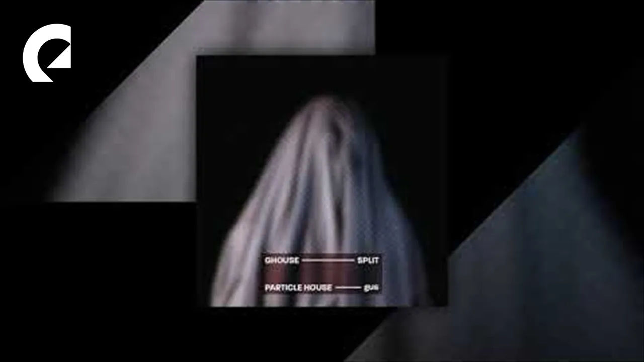 Particle House feat. Le June - We Need to Calm Down