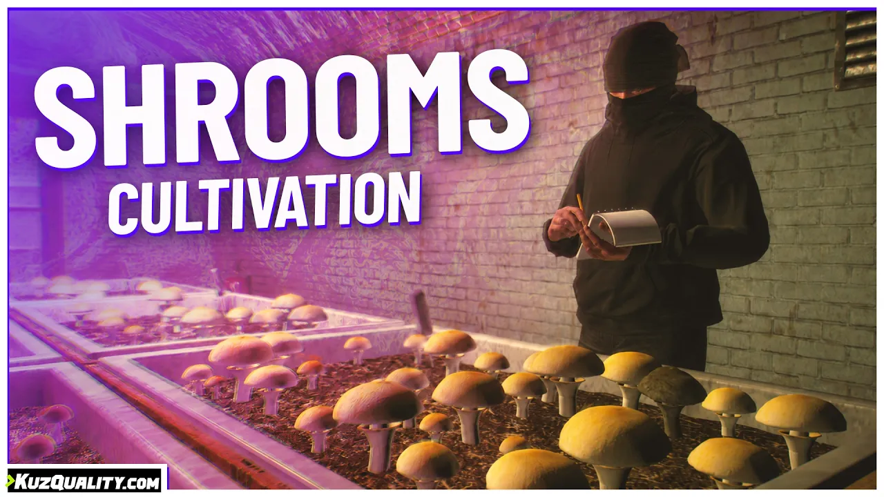 Shrooms Cultivation video thumbnail