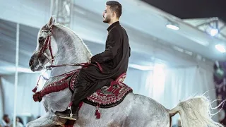 مرسيدس الحزم مركز اول خيول مسجلة و ابراهيم غزال مهرجان الشرقية لأدب الخيول العربية 2025 