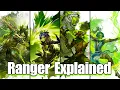 Ranger Explained in Guild Wars 2 Guild Wars 2 Professions