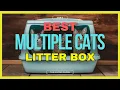 Best Cat Litter Box for Multiple Cats in 2024 TOP 5