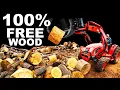 Download Lagu SPLITTING 100% FREE TREE SERVICE FIREWOOD!