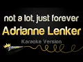 Download Lagu Adrianne Lenker - not a lot, just forever (Karaoke Version)