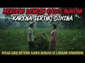 Download Lagu MENIKAH DENGAN GADIS BUNIAN KARENA SERING DIHINA - cerita mistis
