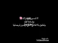 Sefo derdi ne سيفو ما هو همه - مترجمة