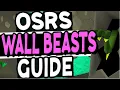 The Ultimate Wall Beasts Slayer Guide Old School Runescape