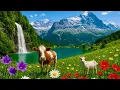 Download Lagu Swiss Wonders | Most magical destinations | Waterfalls, Lakes \u0026 Alpine Villages