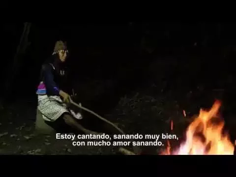 Tráiler SHIPIBOS KONIBOS: Hombres Monos, Hombres Peces