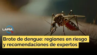 Los síntomas de alerta del dengue y por qué no debe automedicarse