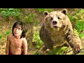 Download Lagu IL Libro della Giungla - Mowgli e L' Orso Baloo a Caccia di Miele (HD)