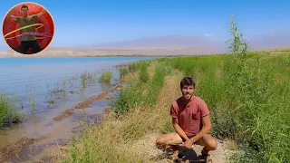 POOPING, peeing, SHOWERING, parking VAN LIFE