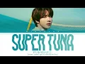 Download Lagu BTS JIN (방탄소년단 진)- 'SUPER TUNA' Lyrics (Color coded lyrics Han/Rom/Eng)